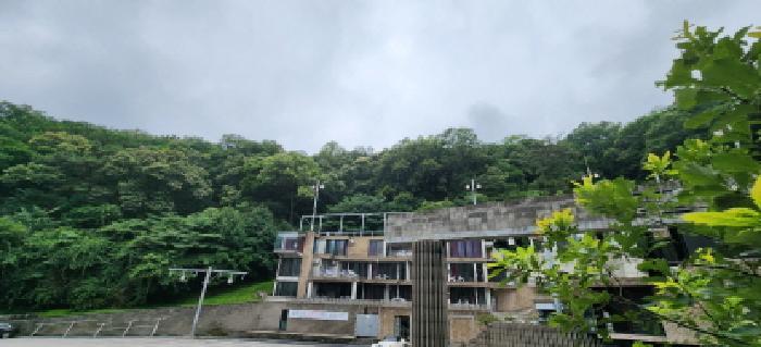 경기도 양주시 장흥면 석현리 산167 임야 경매 사진 17