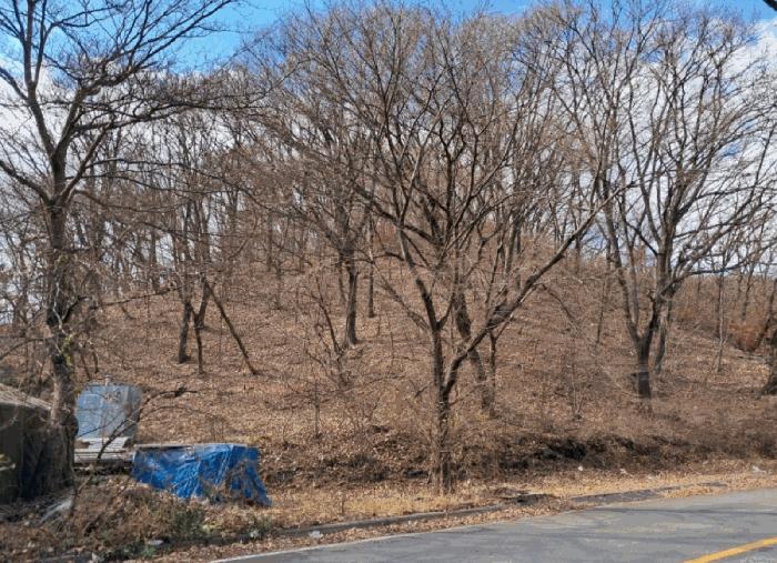 경기도 양주시 장흥면 석현리 산167 임야 경매 사진 2