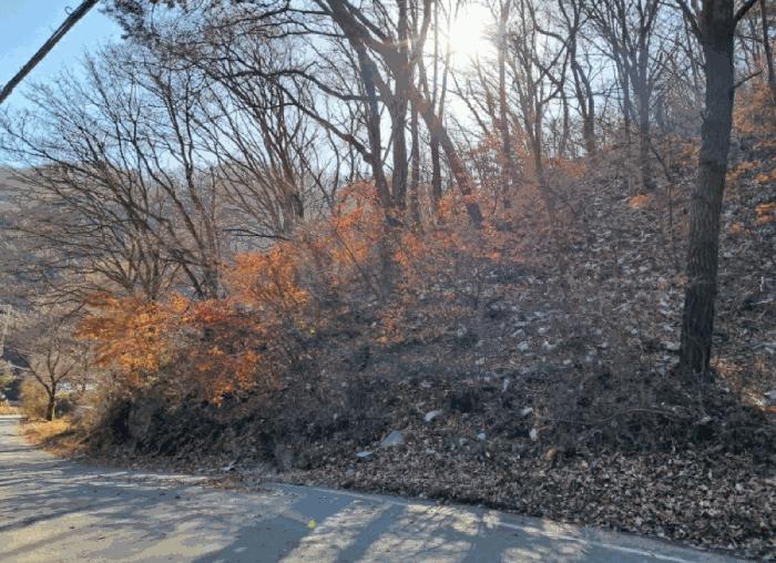 경기도 양주시 장흥면 석현리 산167 임야 경매 사진 3
