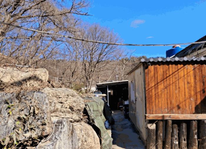 경기도 양주시 장흥면 석현리 산167 임야 경매 사진 4