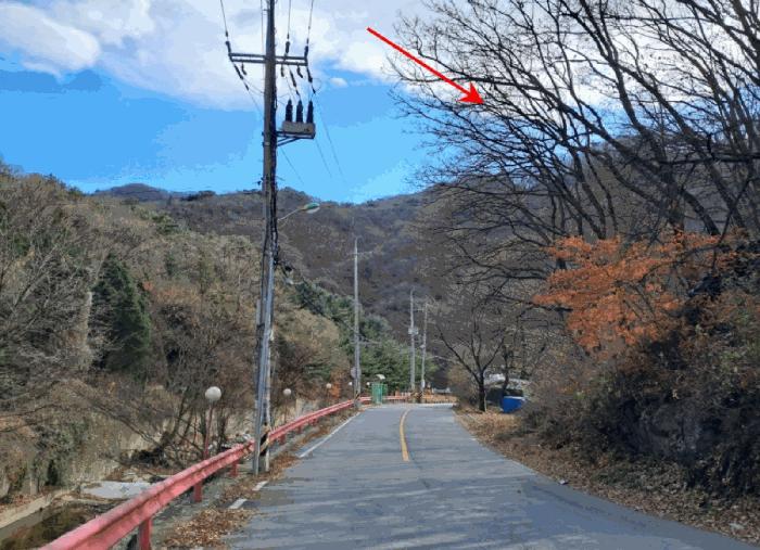 경기도 양주시 장흥면 석현리 산167 임야 경매 사진 6