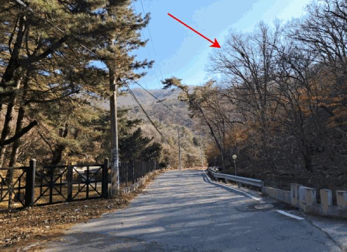 경기도 양주시 장흥면 석현리 산167 임야 경매 사진 7