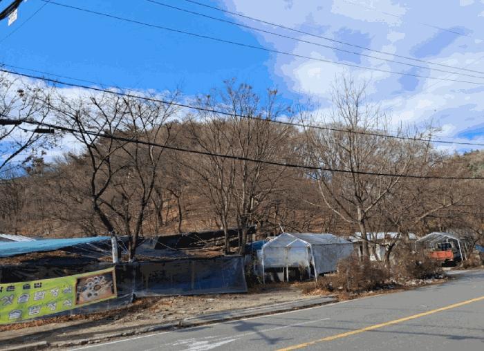 경기도 양주시 장흥면 석현리 산167 임야 경매 사진 8