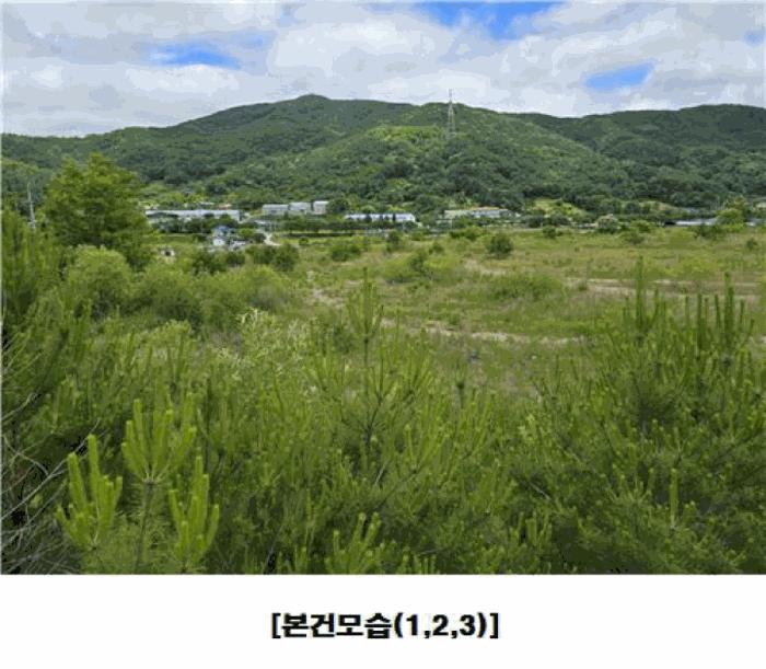 충청남도 금산군 군북면 동편리 산26-1 임야 경매 사진 1