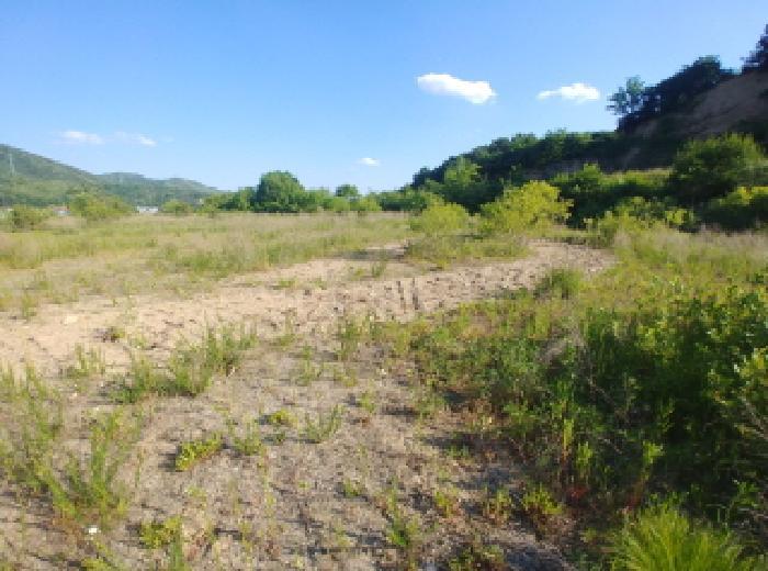 충청남도 금산군 군북면 동편리 산26-1 임야 경매 사진 24