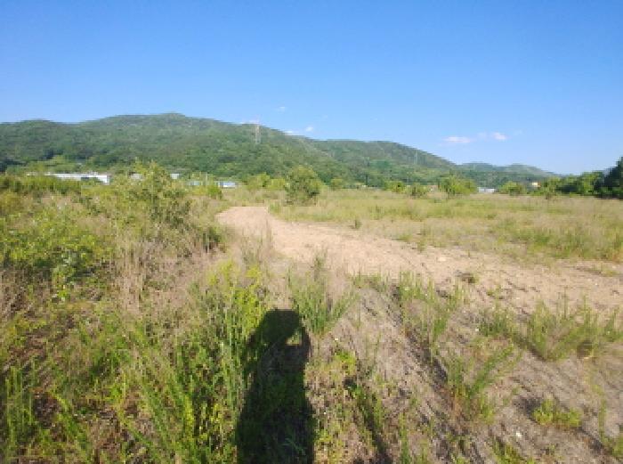 충청남도 금산군 군북면 동편리 산26-1 임야 경매 사진 25
