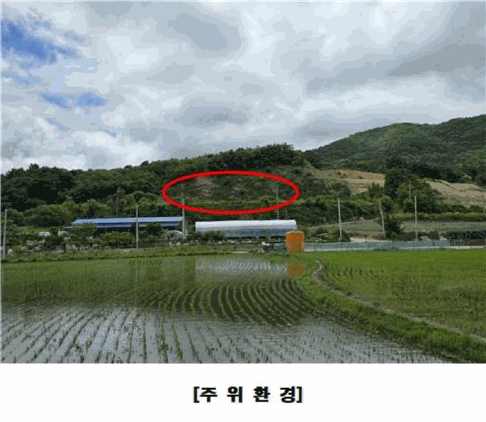 충청남도 금산군 군북면 동편리 산26-1 임야 경매 사진 3