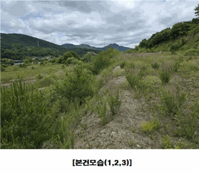 충청남도 금산군 군북면 동편리 산26-1 임야 경매 사진 4