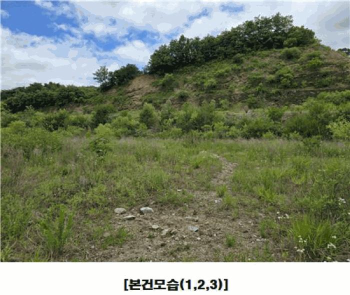 충청남도 금산군 군북면 동편리 산26-1 임야 경매 사진 5