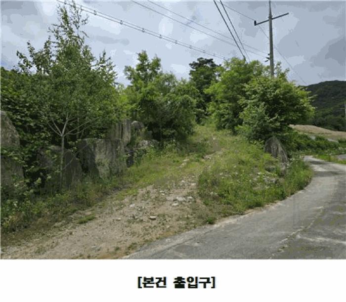 충청남도 금산군 군북면 동편리 산26-1 임야 경매 사진 7
