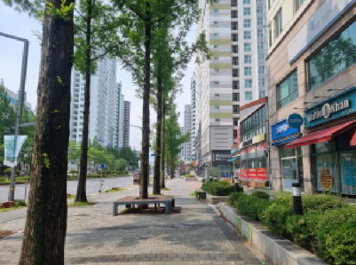 대전광역시 유성구 봉명동 606-1 솔리안 8층806호 오피스텔 경매 사진 12
