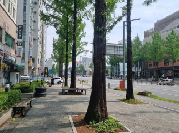 대전광역시 유성구 봉명동 606-1 솔리안 8층806호 오피스텔 경매 사진 13