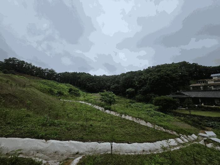경기도 연천군 백학면 통구리 산149-1 임야 경매 사진 2