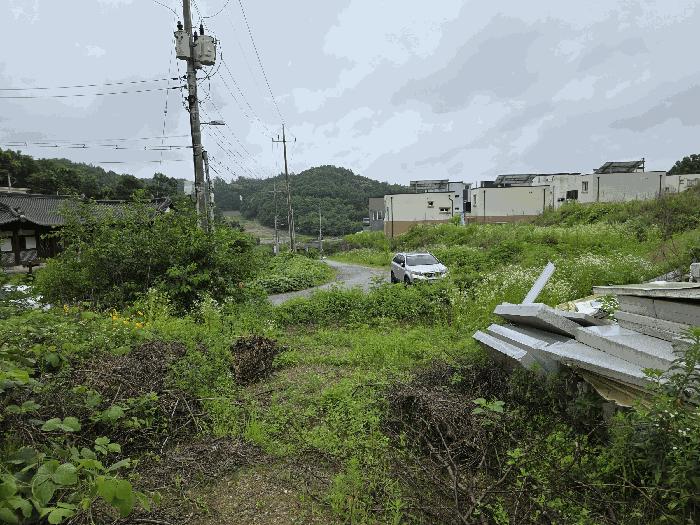 경기도 연천군 백학면 통구리 산149-1 임야 경매 사진 4