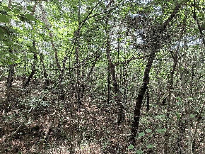 광주광역시 광산구 서봉동 산189-7 임야 경매 사진 2