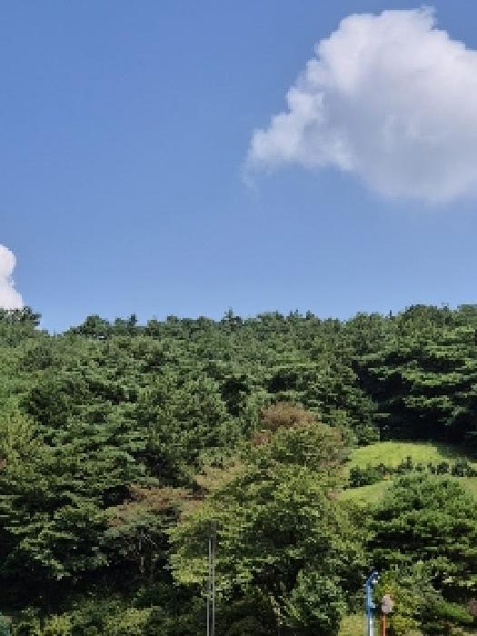 광주광역시 광산구 서봉동 산189-7 임야 경매 사진 3