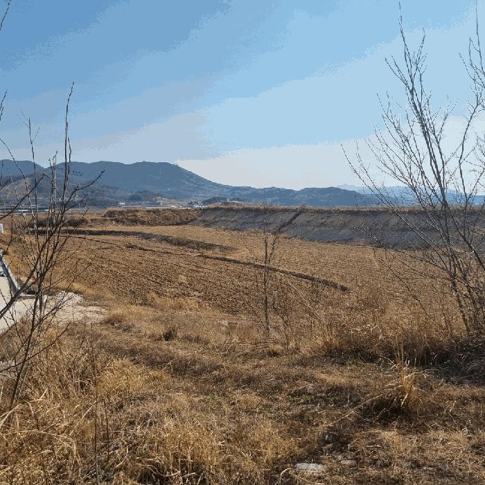 경상북도 예천군 풍양면 낙상리 723-3 답 경매 사진 3