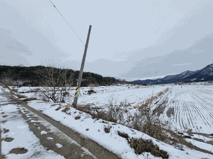 경상북도 문경시 농암면 지동리 677 답 경매 사진 1