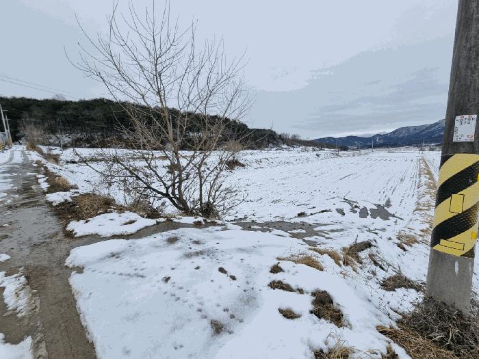 경상북도 문경시 농암면 지동리 677 답 경매 사진 2