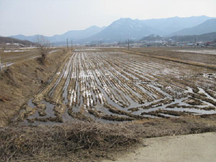 경상북도 문경시 농암면 지동리 677 답 경매 사진 3