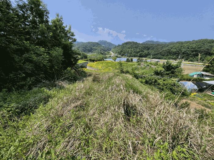 경상북도 성주군 대가면 옥성리 807 전 경매 사진 7