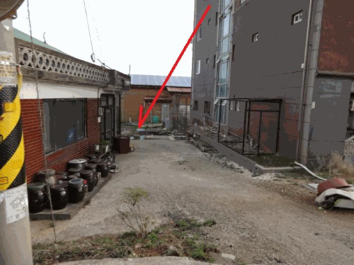 경기도 안산시 단원구 대부남동 525-4 전 경매 사진 1