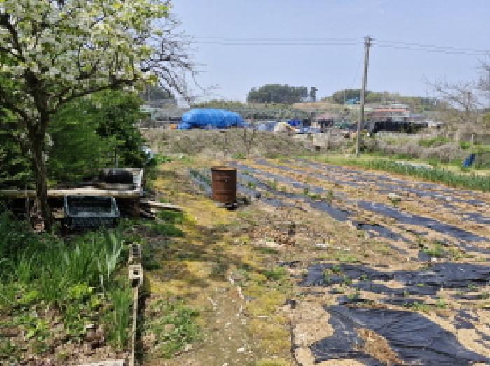 경기도 안산시 단원구 대부남동 525-4 전 경매 사진 21