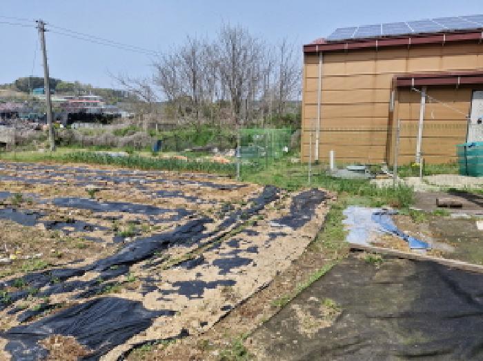 경기도 안산시 단원구 대부남동 525-4 전 경매 사진 22