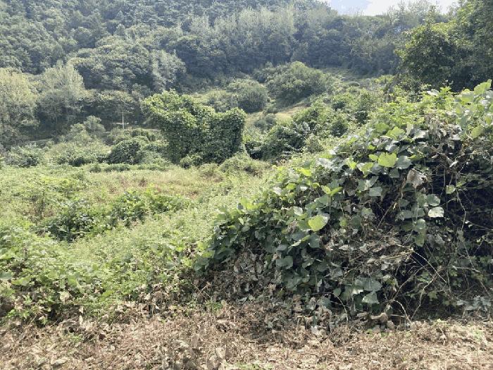 충청북도 괴산군 전