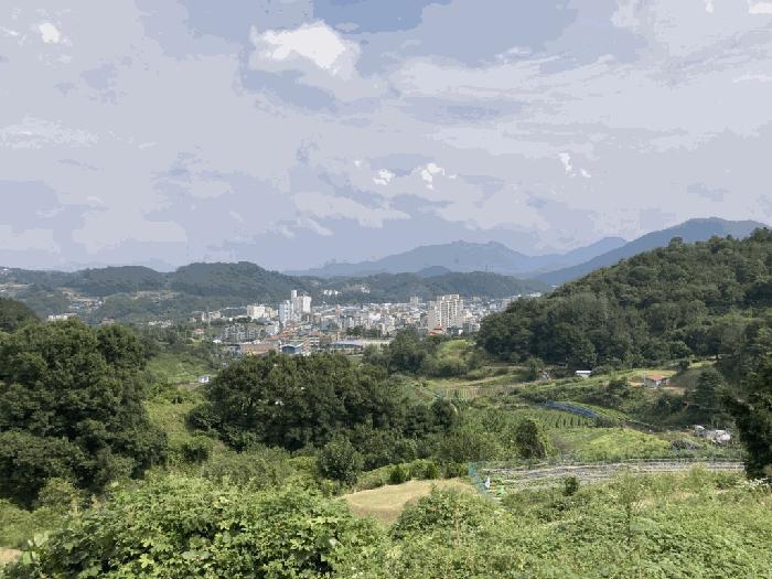 충청북도 괴산군 괴산읍 서부리 567-5 전 경매 사진 4