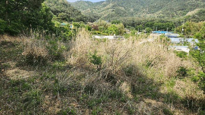 경상북도 구미시 부곡동 551 대지 경매 사진 4