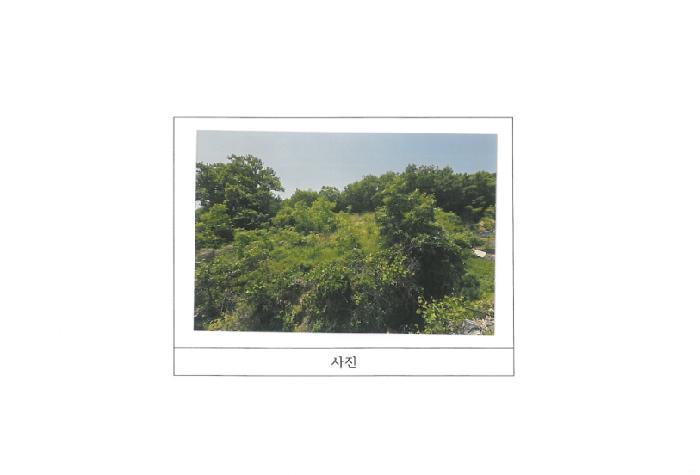 경상북도 구미시 부곡동 551 대지 경매 사진 5
