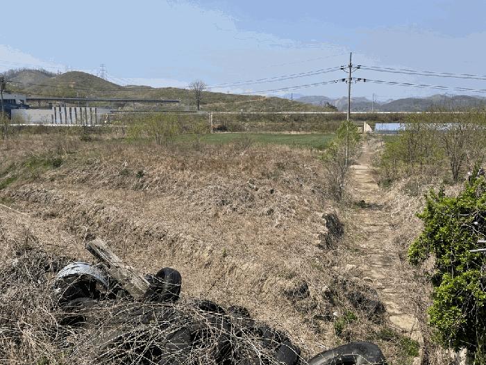 경상북도 울진군 죽변면 후정리 695-9 임야 경매 사진 2