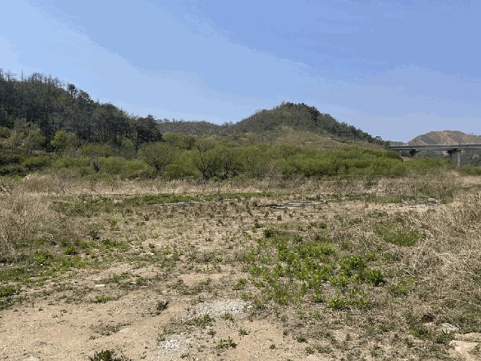 경상북도 울진군 죽변면 후정리 695-9 임야 경매 사진 3