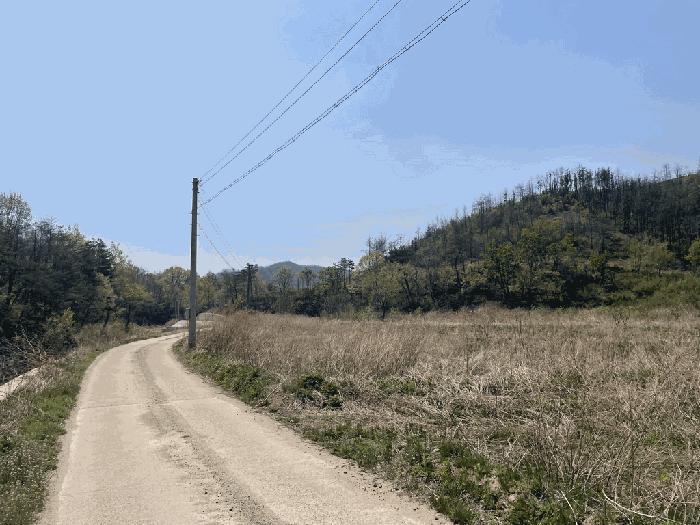 경상북도 울진군 죽변면 후정리 695-9 임야 경매 사진 9
