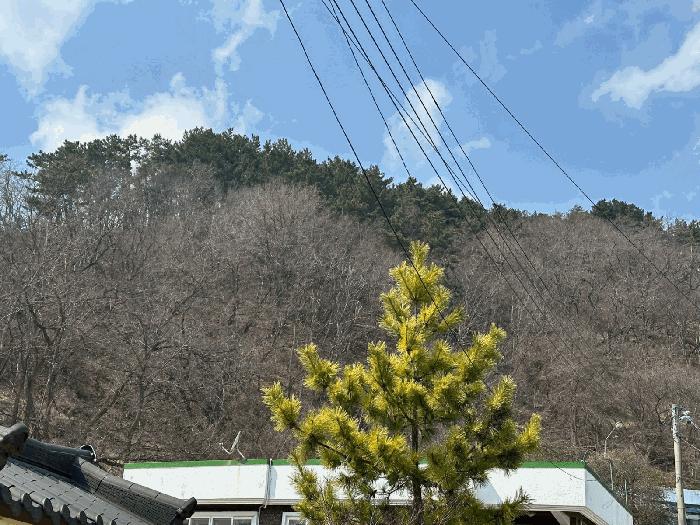경상북도 울진군 후포면 후포리 40-12 전 경매 사진 2