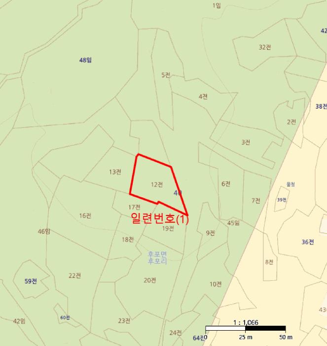 경상북도 울진군 후포면 후포리 40-12 전 경매 사진 4