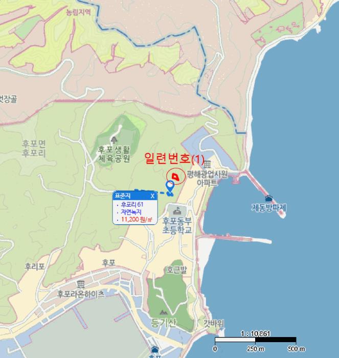 경상북도 울진군 후포면 후포리 40-12 전 경매 사진 5