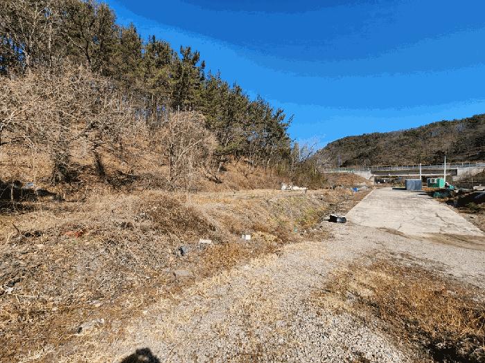 경상북도 영덕군 강구면 화전리 37 전 경매 사진 1