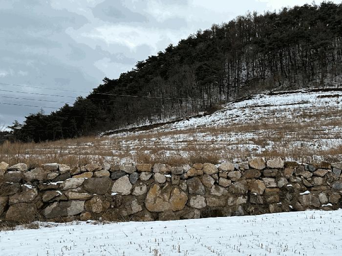 경상북도 영덕군 지품면 원전리 374 임야 경매 사진 2
