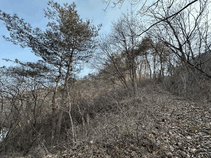 경상북도 영양군 청기면 저리 산77 임야 경매 사진 1