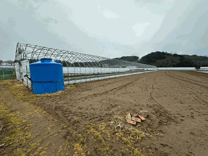 경상북도 울진군 근남면 산포리 892-2 전 경매 사진 1