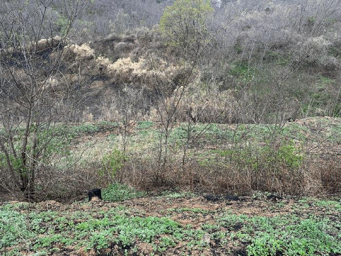 경상북도 영덕군 영덕읍 창포리 70 전 경매 사진 2