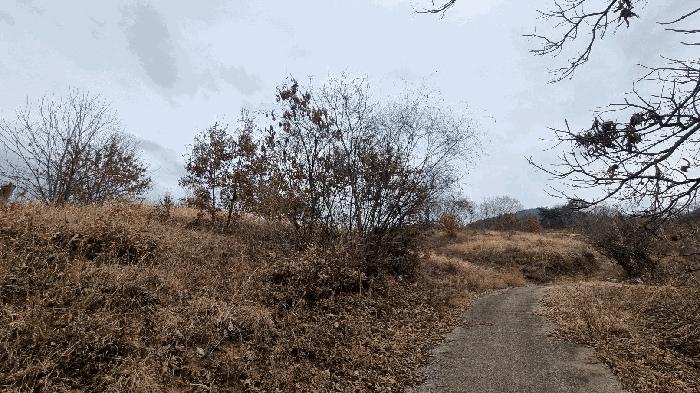 경상남도 합천군 쌍백면 외초리 422-1 답 경매 사진 14