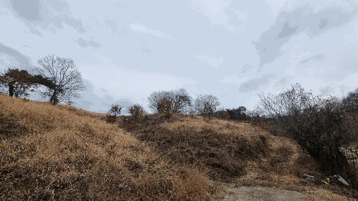 경상남도 합천군 쌍백면 외초리 422-1 답 경매 사진 5