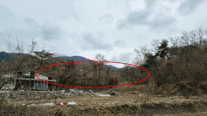 경상남도 합천군 쌍백면 외초리 422-1 답 경매 사진 6