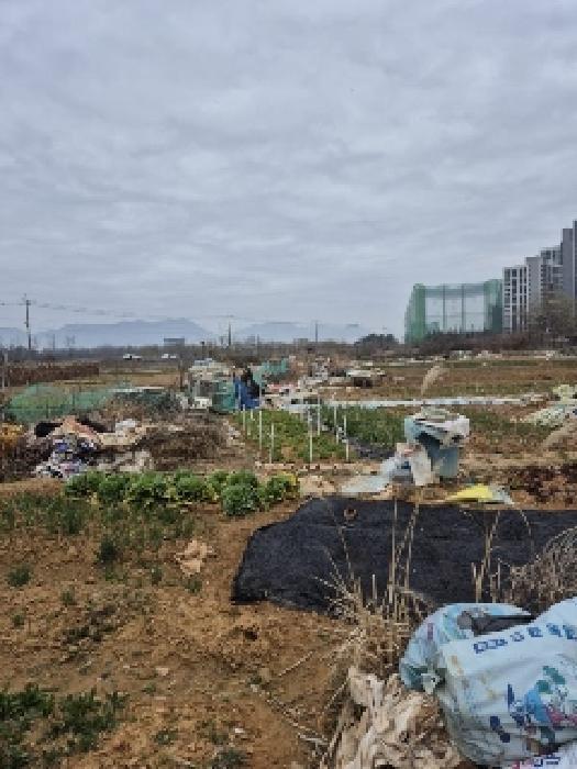 광주광역시 북구 신용동 477-5 답 경매 사진 3