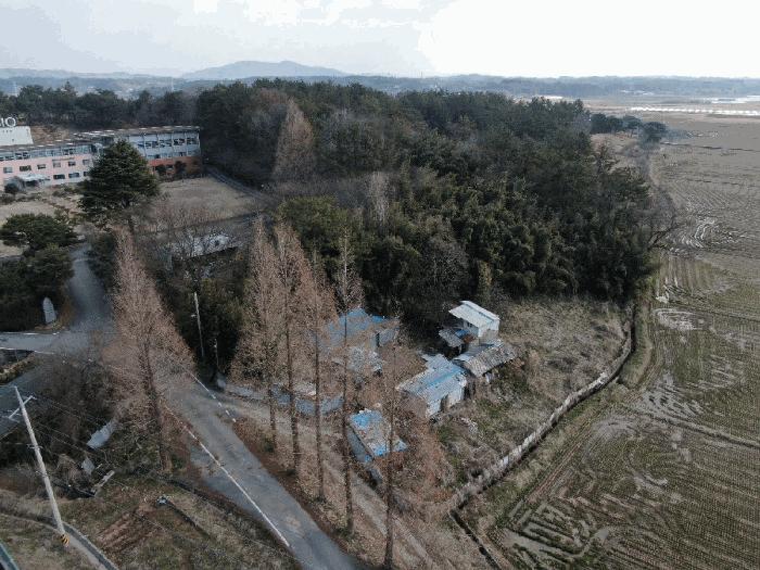 전라남도 나주시 노안면 안산리 880 대지 경매 사진 1