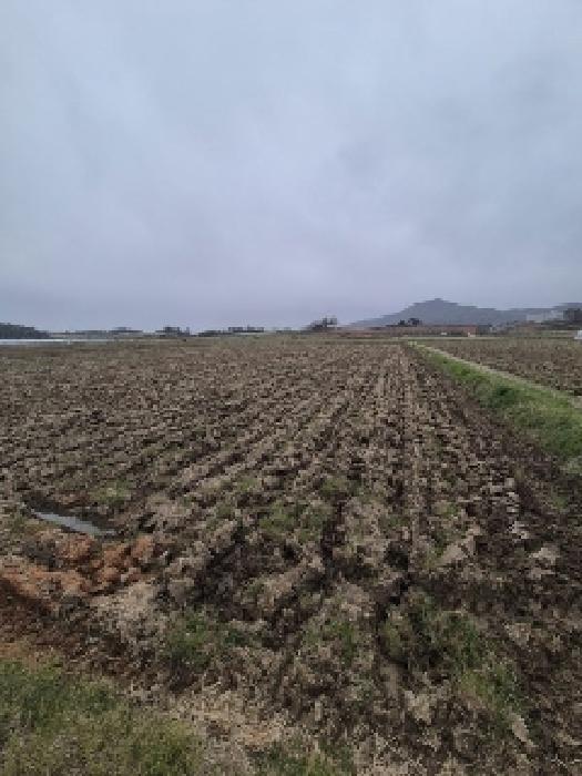 전라남도 나주시 노안면 안산리 880 대지 경매 사진 6