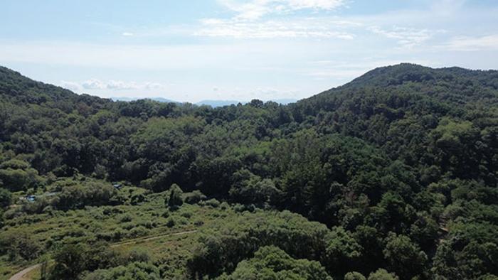 경상남도 합천군 묘산면 관기리 502-3 임야 경매 사진 1